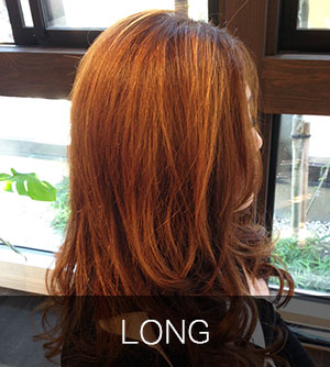 long_image_cate