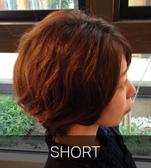 short_img_cate